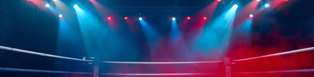 Individuālā sporta riski boksā